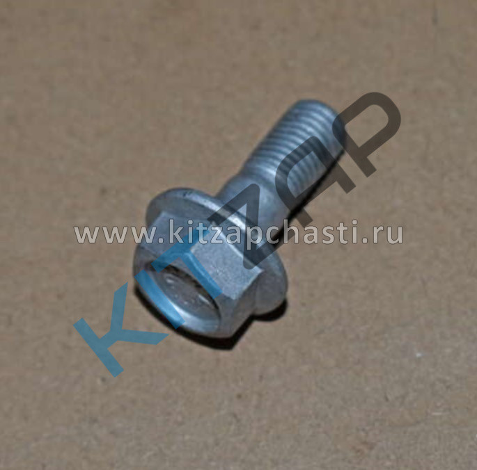 Болт скобы заднего суппорта EXEED VX 204001521AA